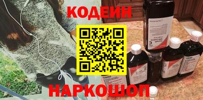 амф Кингисепп
