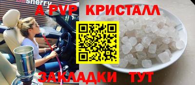 амф Кингисепп
