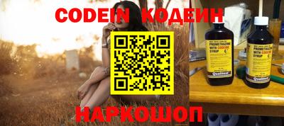амф Кингисепп