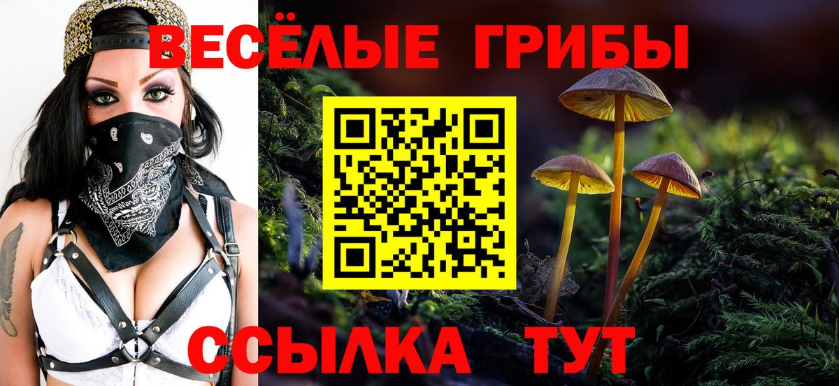 Ржев  Псилоцибиновые грибы мухоморы  Вход с VPN  Галлюциногенные грибы MAGIC MUSHROOMS 