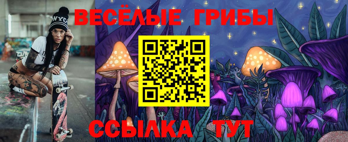 Галлюциногенные грибы Cubensis Ржев